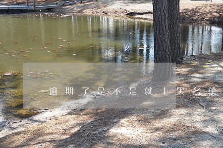 逾期了是不是就上黑名单了 逾期了是不是就上黑名单了