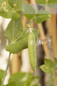 逾期了是不是就在黑名单了 逾期了是不是就在黑名单了