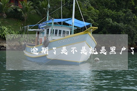 逾期了是不是就是黑户了 逾期了是不是就是黑户了