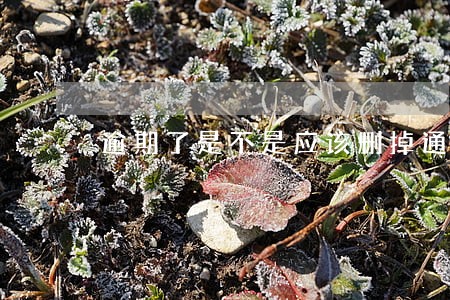 逾期了是不是应该删掉通讯录 逾期了是不是应该删掉通讯录