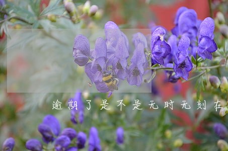 逾期了是不是无时无刻在扣款 逾期了是不是无时无刻在扣款