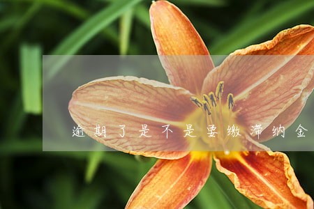 逾期了是不是要缴滞纳金