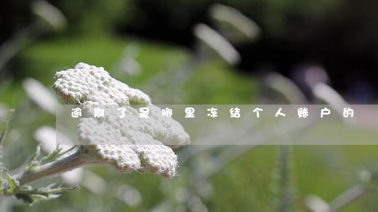 逾期了是哪里冻结个人账户的 逾期了是哪里冻结个人账户的
