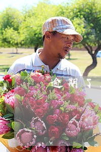 逾期了显示暂时无法还款