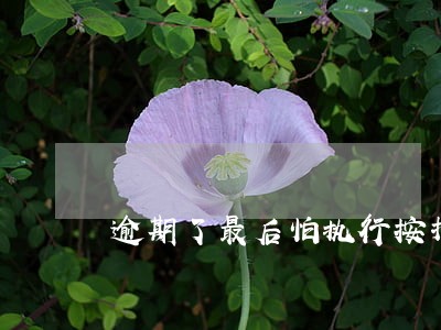 逾期了最后怕执行按揭房产 逾期了最后怕执行按揭房产