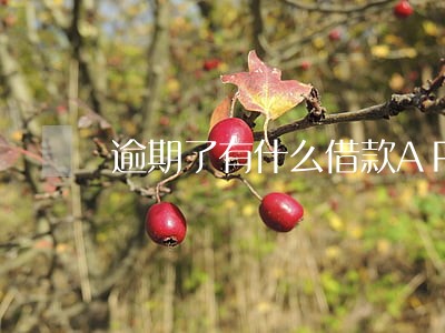 逾期了有什么借款APP 逾期了有什么借款APP