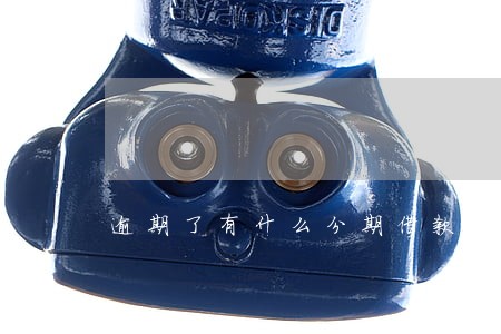 逾期了有什么分期借款口子吗 逾期了有什么分期借款口子吗