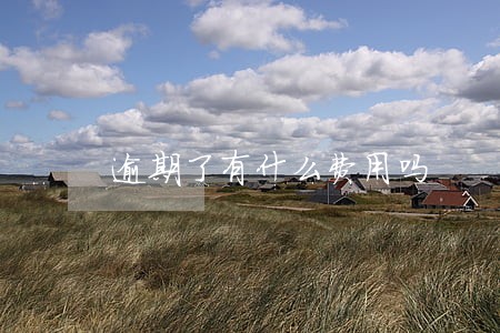 逾期了有什么费用吗 逾期了有什么费用吗
