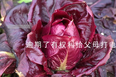 逾期了有权利给父母打电话吗 逾期了有权利给父母打电话吗