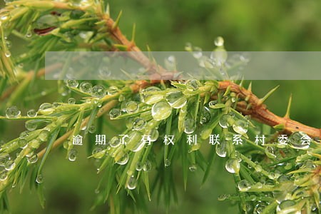逾期了有权利联系村委会吗
