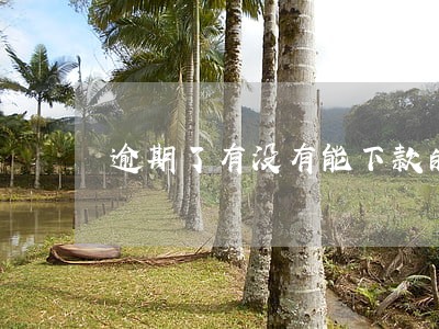 逾期了有没有能下款的 逾期了有没有能下款的