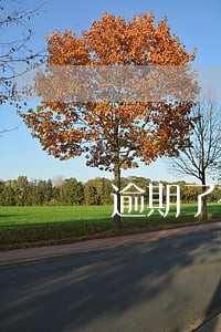 逾期了有滞纳金吗 逾期了有滞纳金吗