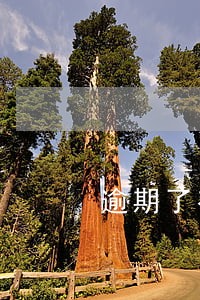逾期了有钱还不进去 逾期了有钱还不进去