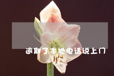逾期了本地电话说上门 逾期了本地电话说上门