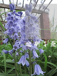 逾期了查通讯录是哪些 逾期了查通讯录是哪些