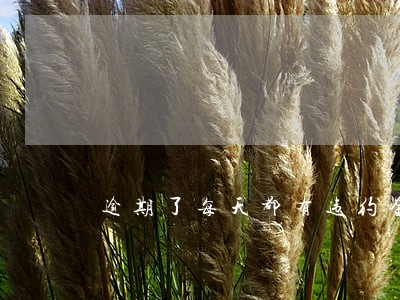 逾期了每天都有违约金 逾期了每天都有违约金
