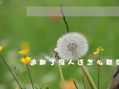 逾期了没人还怎么联系