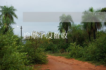 逾期了没催收