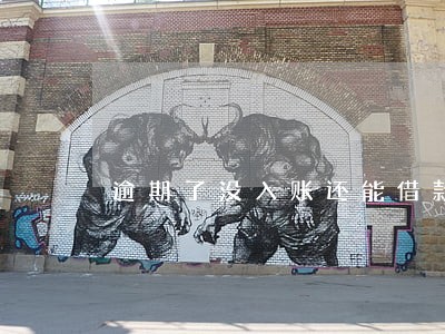 逾期了没入账还能借款吗 逾期了没入账还能借款吗