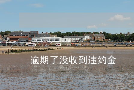 逾期了没收到违约金 逾期了没收到违约金