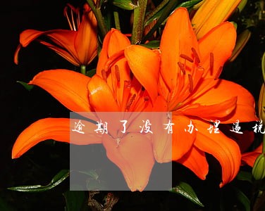 逾期了没有办理退税 逾期了没有办理退税