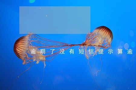 逾期了没有短信提示算逾期吗 逾期了没有短信提示算逾期吗