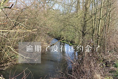逾期了没有违约金了 逾期了没有违约金了