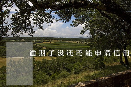 逾期了没还还能申请信用卡吗 逾期了没还还能申请信用卡吗