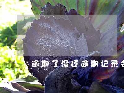 逾期了没还逾期记录会消失吗 逾期了没还逾期记录会消失吗