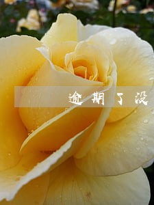 逾期了没钱又没工作