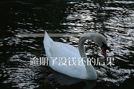 逾期了没钱还的后果 逾期了没钱还的后果