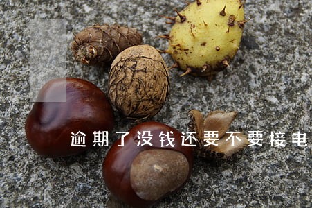 逾期了没钱还要不要接电话 逾期了没钱还要不要接电话