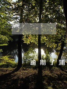 逾期了浦发能怎么协商 逾期了浦发能怎么协商