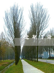 逾期了海尔还能借钱吗 逾期了海尔还能借钱吗