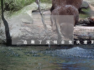 逾期了深圳会发快递到家里吗 逾期了深圳会发快递到家里吗
