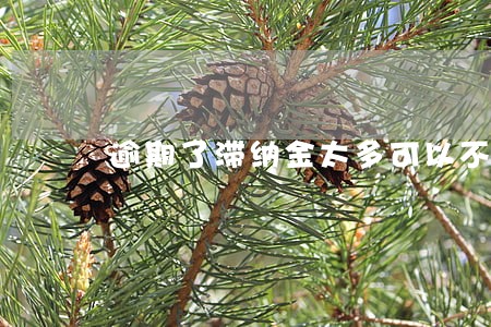 逾期了滞纳金太多可以不给吗 逾期了滞纳金太多可以不给吗