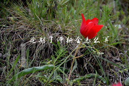 逾期了滞纳金怎么算 逾期了滞纳金怎么算