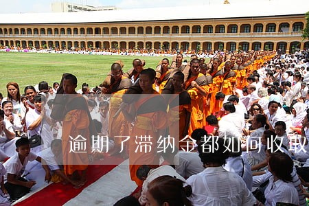 逾期了滞纳金都如何收取规定 逾期了滞纳金都如何收取规定