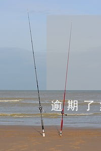 逾期了然后产生的费用能追回来吗 逾期了然后产生的费用能追回来吗