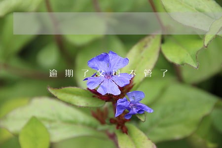 逾期了父母不管了 逾期了父母不管了