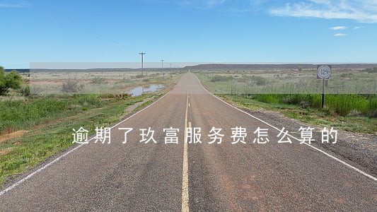 逾期了玖富服务费怎么算的 逾期了玖富服务费怎么算的