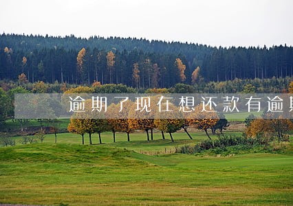 逾期了现在想还款有逾期费怎么办 逾期了现在想还款有逾期费怎么办