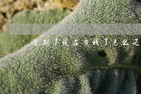 逾期了现在有钱了怎么还钱 逾期了现在有钱了怎么还钱