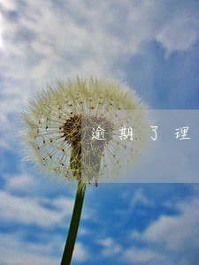 逾期了理财的钱能赎回来吗 逾期了理财的钱能赎回来吗