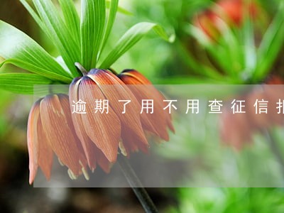 逾期了用不用查征信报告 逾期了用不用查征信报告