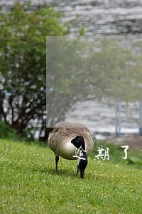 逾期了申请延期不同意怎么办 逾期了申请延期不同意怎么办