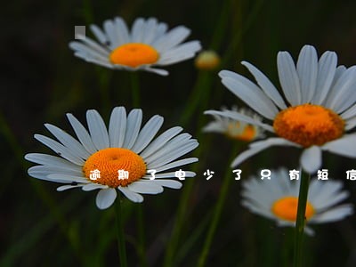 逾期了电少了只有短信 逾期了电少了只有短信