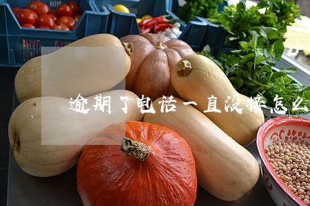 逾期了电话一直没接怎么办 逾期了电话一直没接怎么办