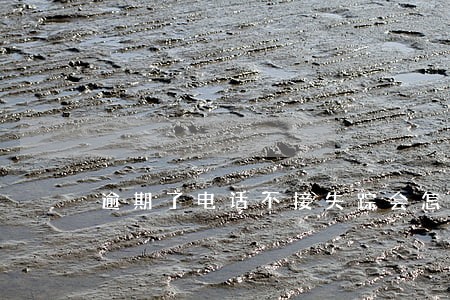 逾期了电话不接失踪会怎么样 逾期了电话不接失踪会怎么样