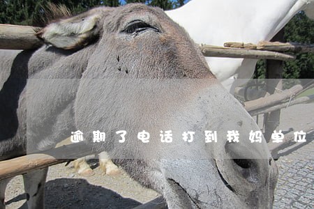 逾期了电话打到我妈单位 逾期了电话打到我妈单位